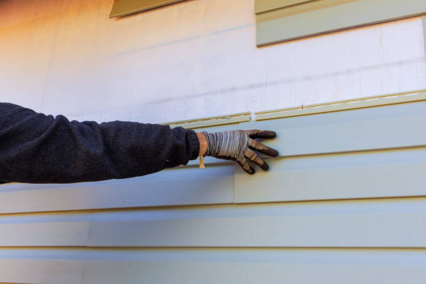 Best Vinyl Siding Installation  in La Homa, TX